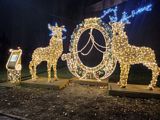 Zdjęcie: 21