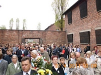 Zdjęcie: 10