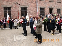 Zdjęcie: 12