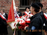 Zdjęcie: 14