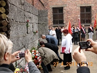 Zdjęcie: 17
