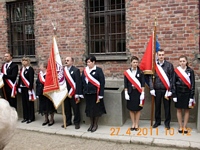 Zdjęcie: 19