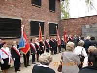 Zdjęcie: 20