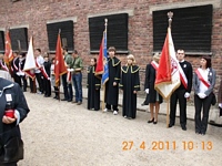 Zdjęcie: 22