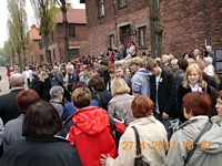 Zdjęcie: 35