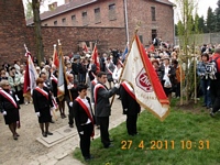 Zdjęcie: 41