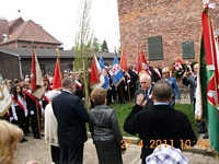 Zdjęcie: 48