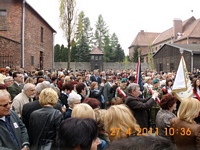 Zdjęcie: 49