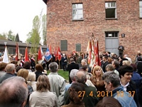 Zdjęcie: 51