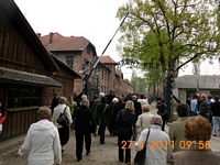 Zdjęcie: 5