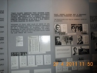 Zdjęcie: 65