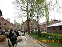 Zdjęcie: 6