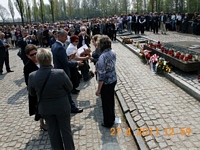 Zdjęcie: 83