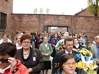 Zdjęcie: 8