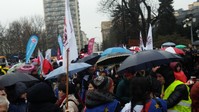 Zdjęcie: 15