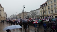 Zdjęcie: 4