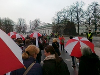 Zdjęcie: 19