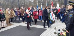 Zdjęcie: 12