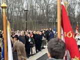 Zdjęcie: 6