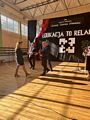 Zdjęcie: 41